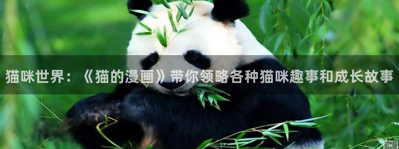 不知火舞被榨乳羞羞漫画网站